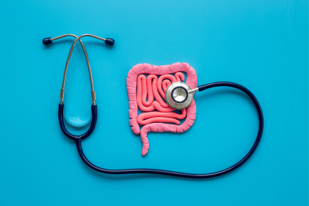 gut health